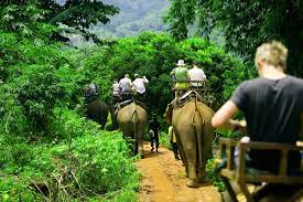 Klong Son Elephant camp